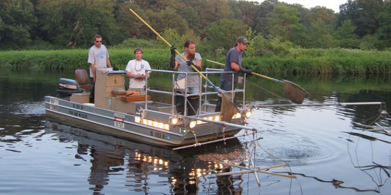 electrofishing-boat-800x400