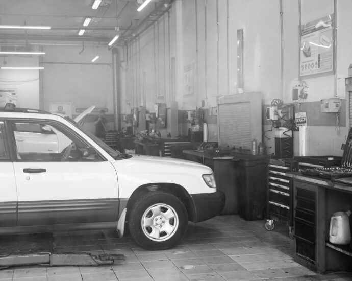online stolen vehicle tool